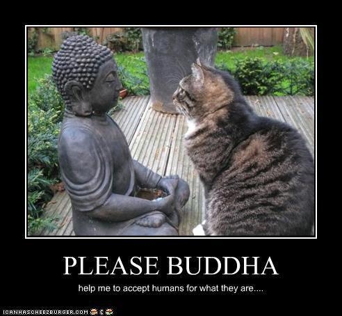 Please Buddha