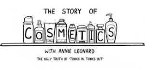 the story of cosmetics