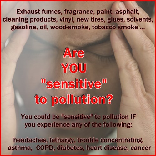 Sensitive to Pollution 2