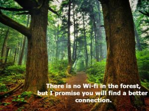 better connection than wi-fi