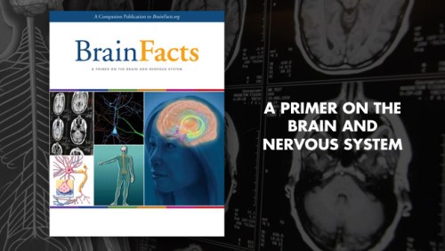 brainfactsbook_spotlight