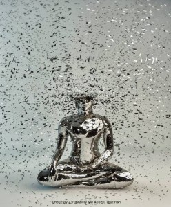 Image by z3rogravity via Robert Thurman