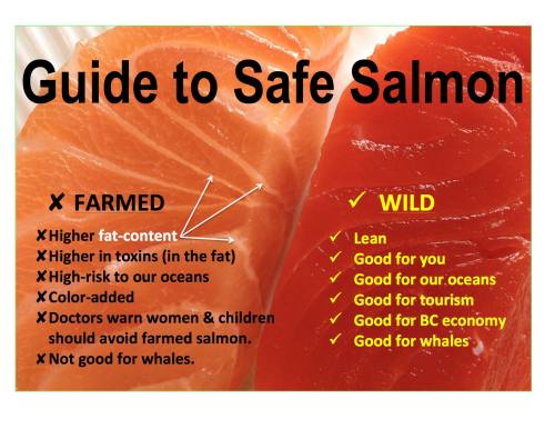 Guide to Safe Salmon