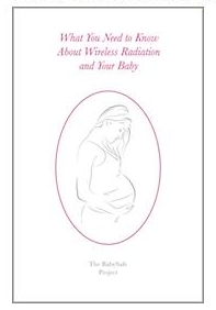 Wireless Radiation and Your Baby