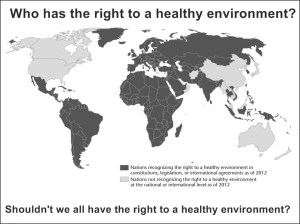 right to healthy environment 3