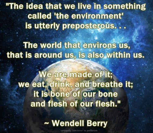 Wendell Berry we are