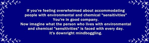 Imagine living with MCS ES 2