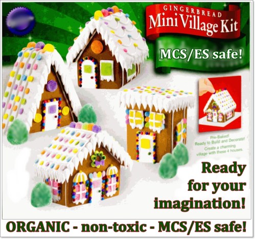 MCS ES gingerbread village kit 2