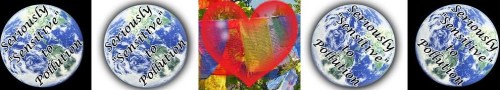 cropped-blog-banner-heart-and-flags.jpg