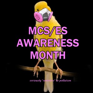 may is mcs es awareness month