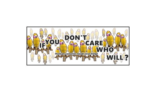 many canaries out on a limb with border