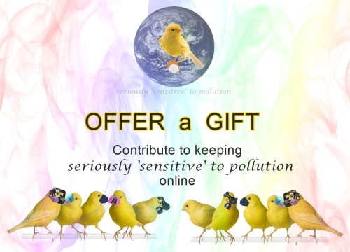 OFFER a GIFT
Contribute to keeping seriously 'sensitive' to pollution online